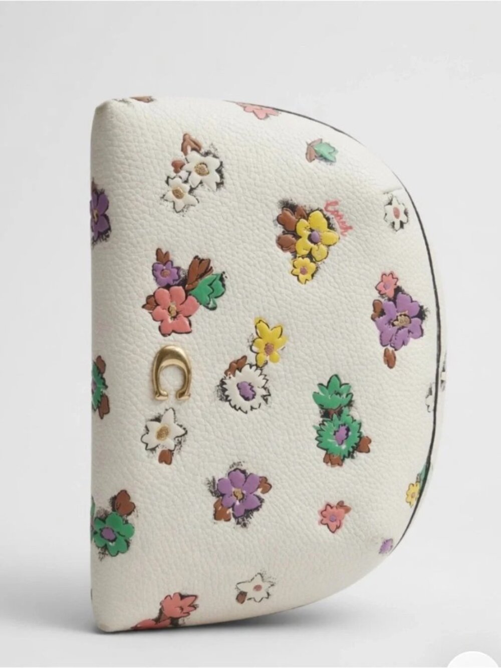 COACH Julienne Cosmetic Case 17